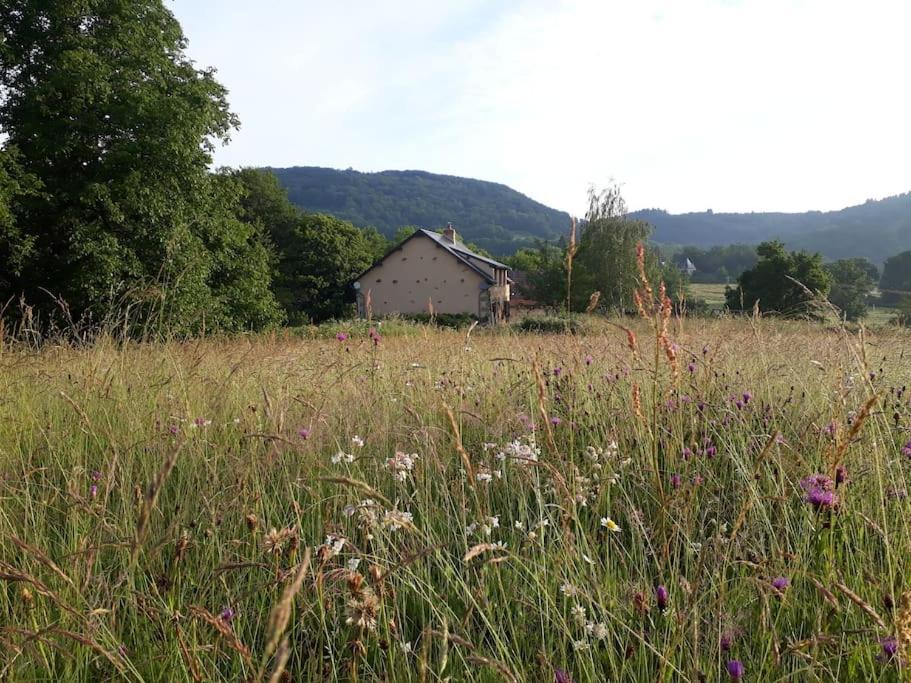 Le Studio Du Crot Noir Cussy-en-Morvan Zewnętrze zdjęcie